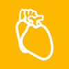 Médecin cardiovasculaire
